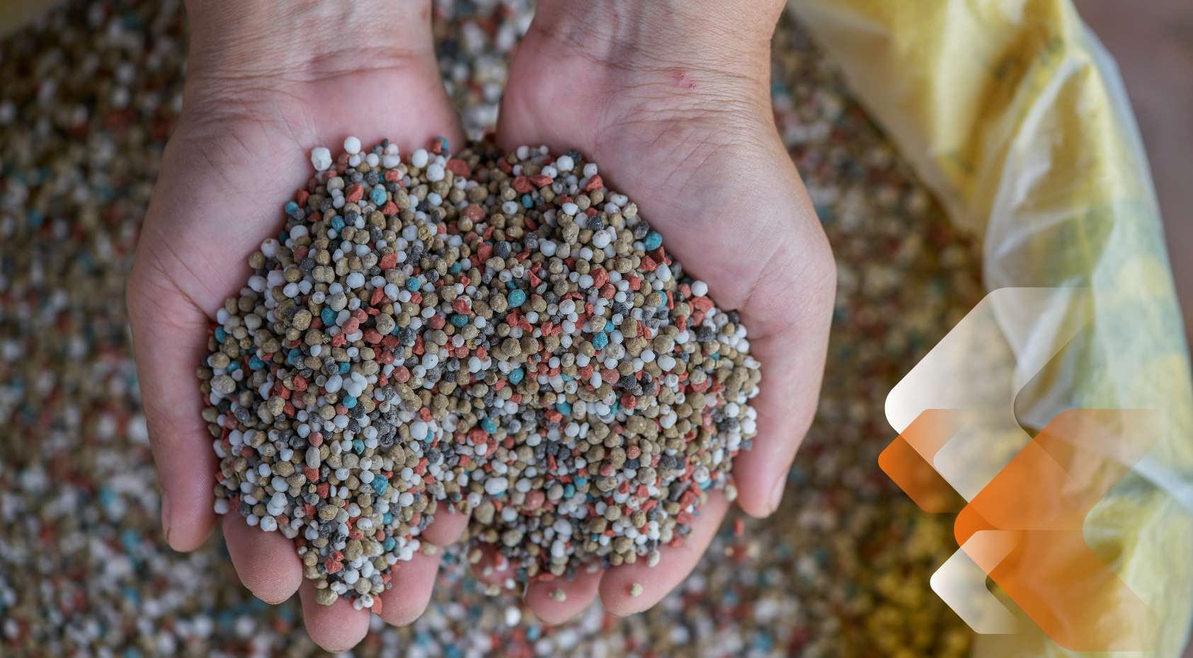 A importância da fertilização no desenvolvimento saudável dos canaviais